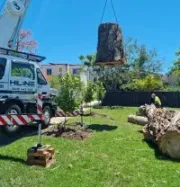 kmitt's-tree-service-megamenu-tree-removal-service-image