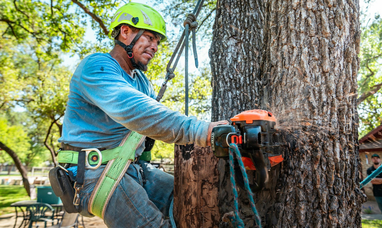 kmitt's-tree-service-faq-image