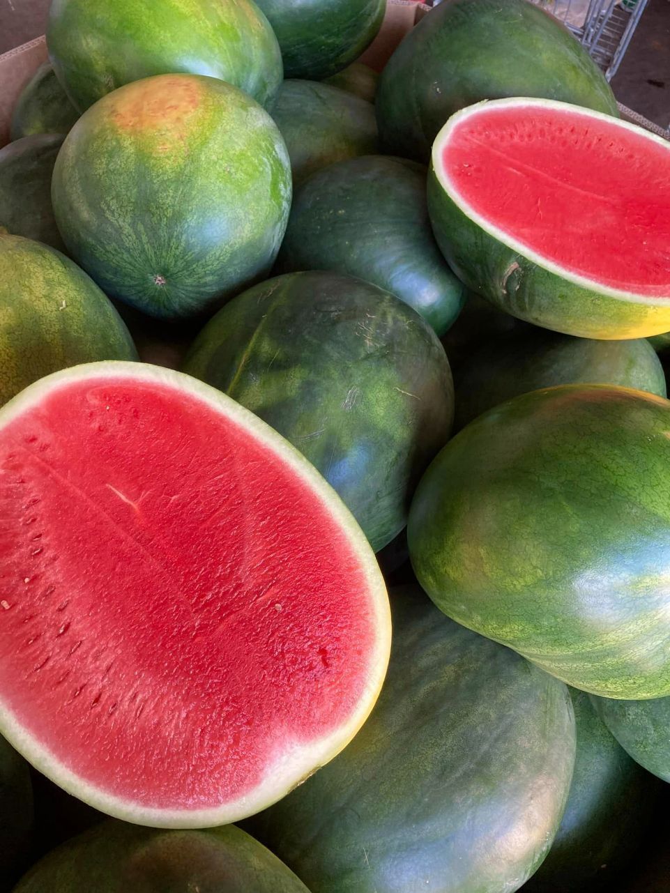 Seedless Open Watermelon — Start Fresh Fruit Market in Bundaberg Central QLD