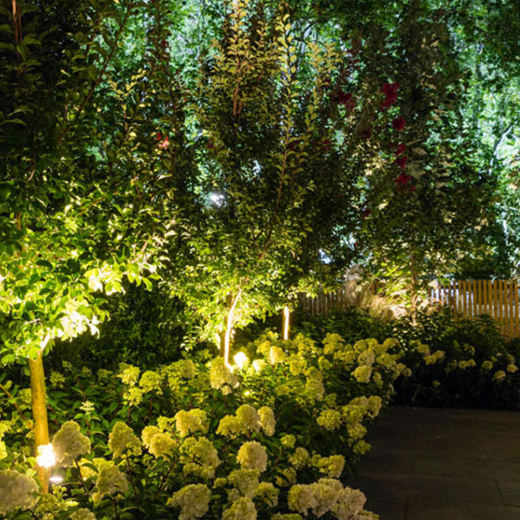 Lit garden path under dense green foliage and white flowers, with warm lights and a wooden fence.