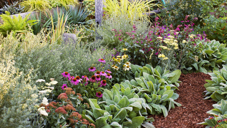 Lush garden bed with pink and yellow flowers, green foliage, and a mulched path.