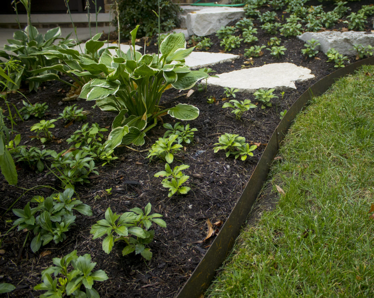 Raised garden bed with green hostas and other plants beside a lawn and stone path