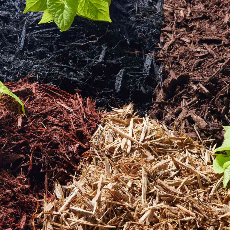 Mulched garden bed with black, brown, red, and tan wood chips and green leaves at the edges