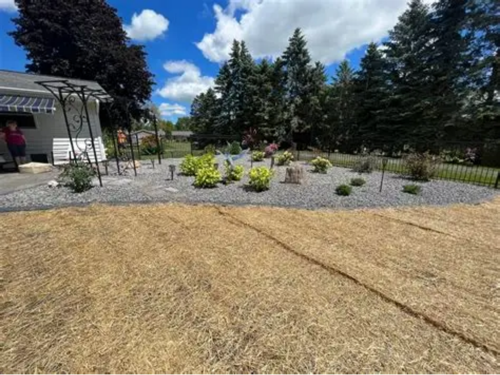 Landscaped garden with mulch beds, shrubs, and evergreen trees under a bright blue sky