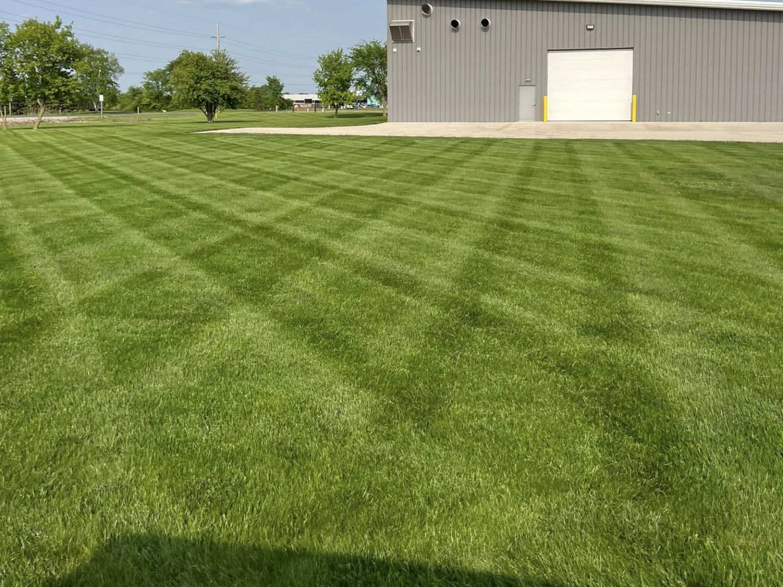 Man mowing a green lawn with a red push mower in a sunny backyard