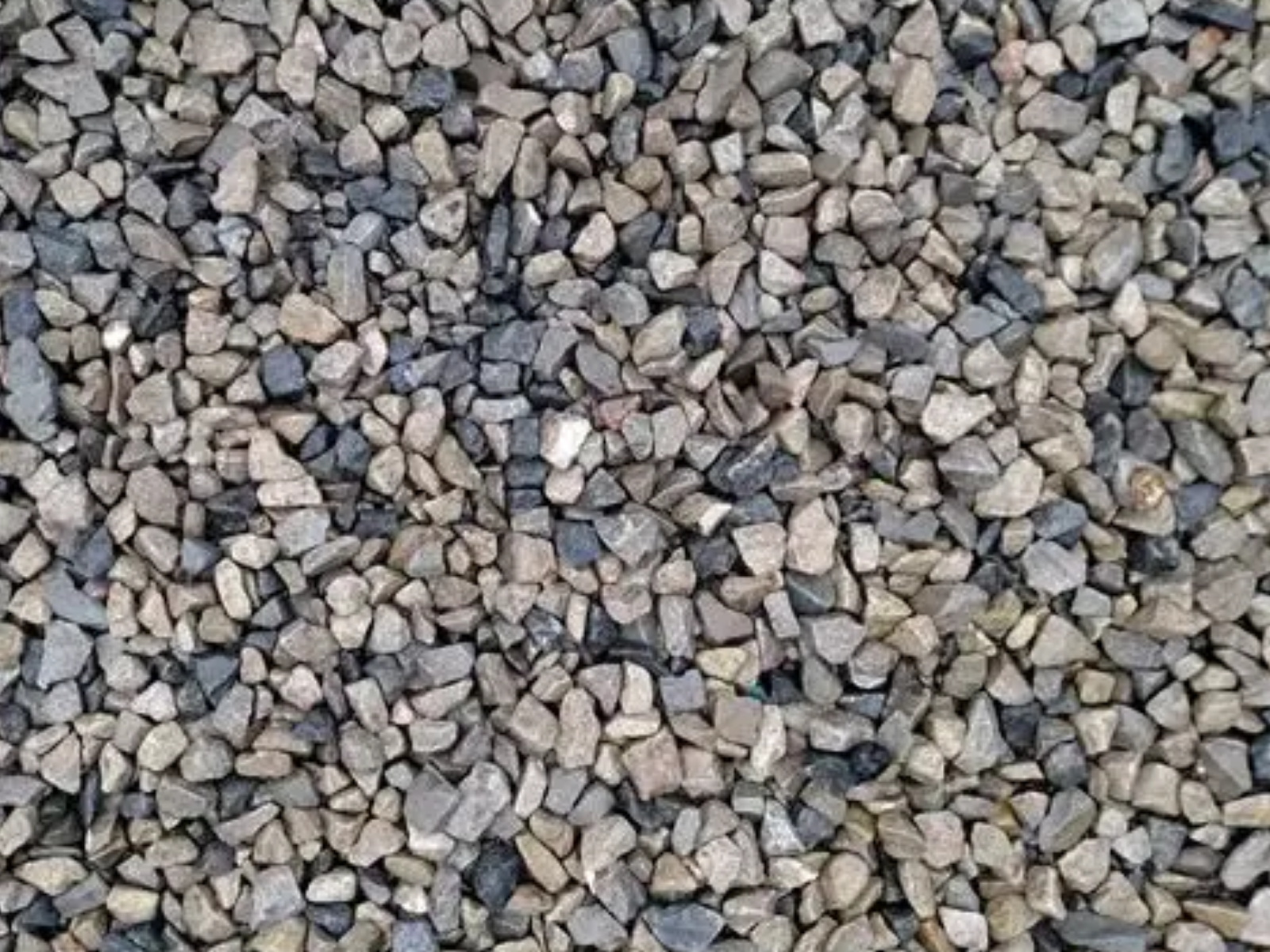 Close-up of small gray and tan gravel stones filling the frame.