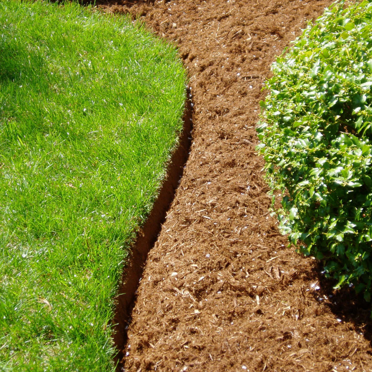 Curved mulch garden path between bright green grass and a flowering shrub