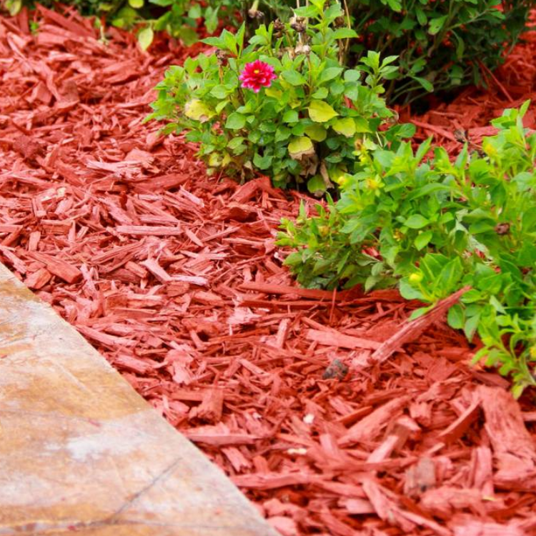 Pink flowers and green shrubs growing in red mulch beside a stone border.