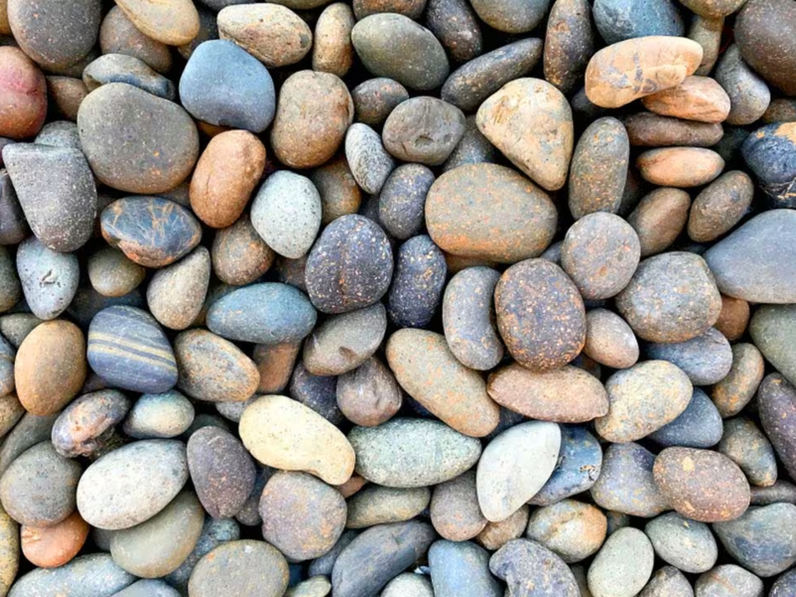 Close-up of assorted smooth pebbles in gray, tan, and brown tones