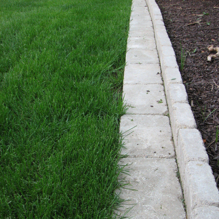 Concrete curb separating green grass from brown dirt