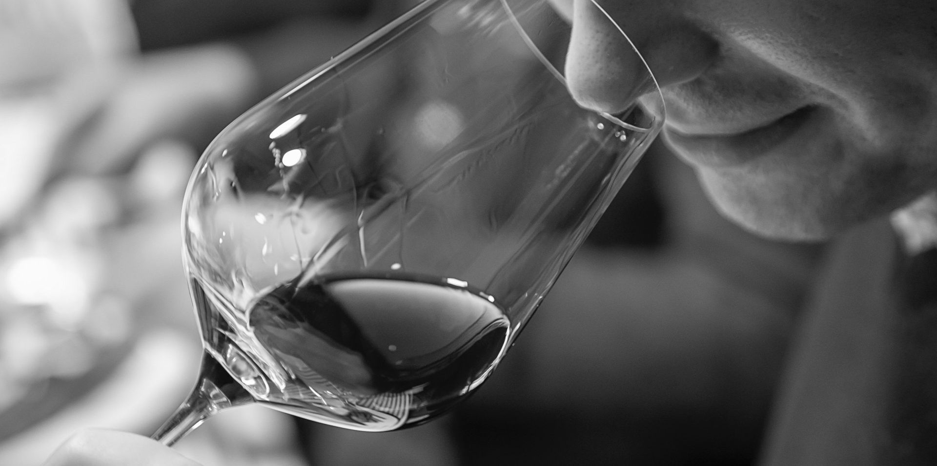 Person smelling red wine in a glass. Close-up, black and white image.