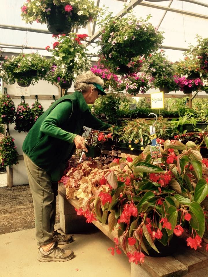 Festive Christmas Trees Gresham, OR Deep Creek Tree Farms