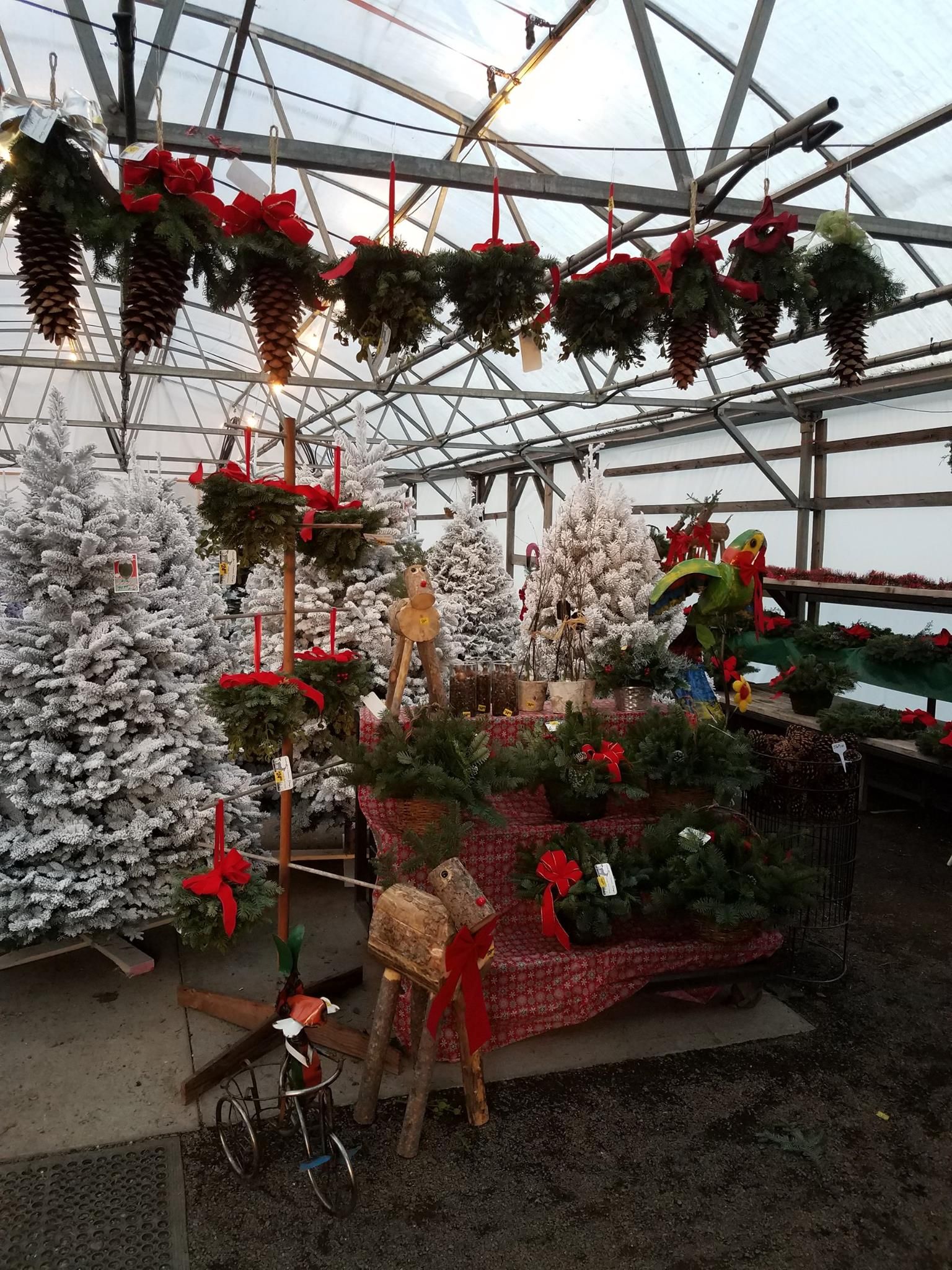 Floral Display Gresham, OR Deep Creek Garden Center