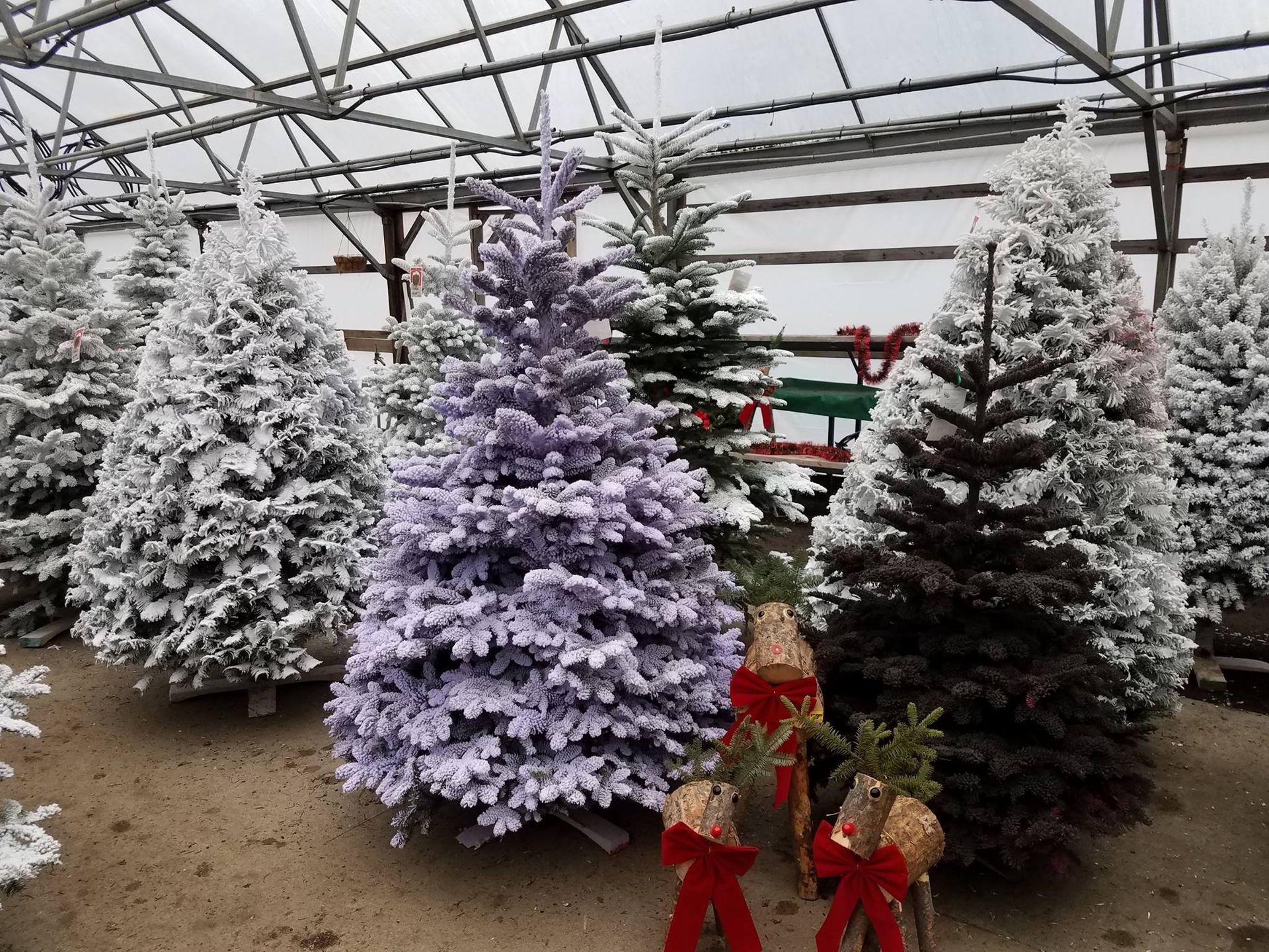 Floral Display Gresham, OR Deep Creek Garden Center