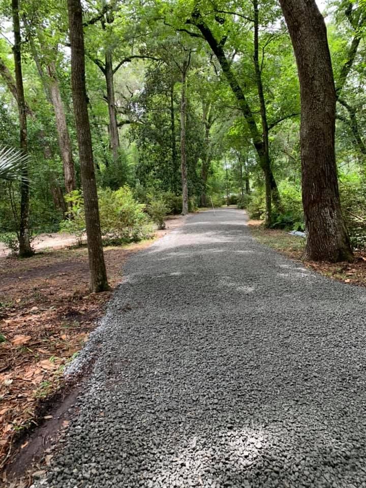 Gravel path winding through a lush green forest, sunlight dappling the ground.