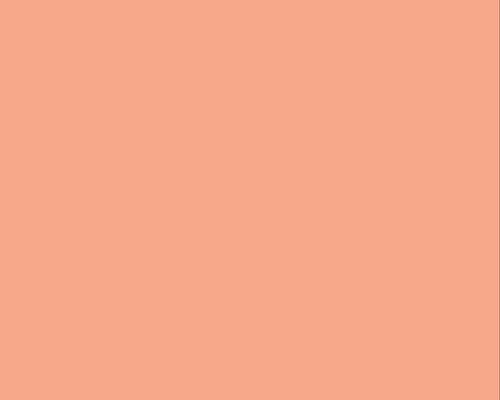 Solid peach-colored background.