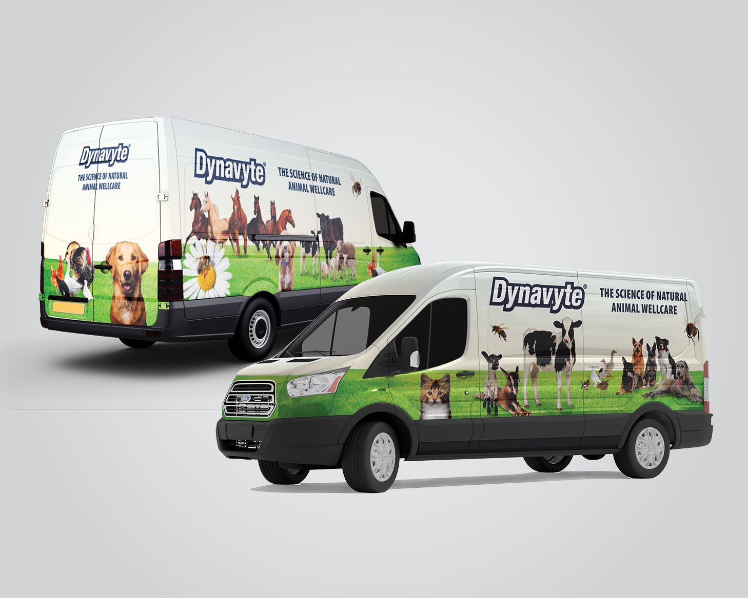 Two vans with animals on them are sitting next to each other on a white surface.