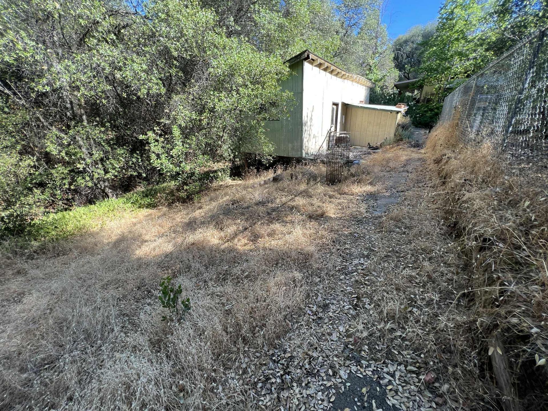 A small, weathered building surrounded by dry grass and overgrown bushes.