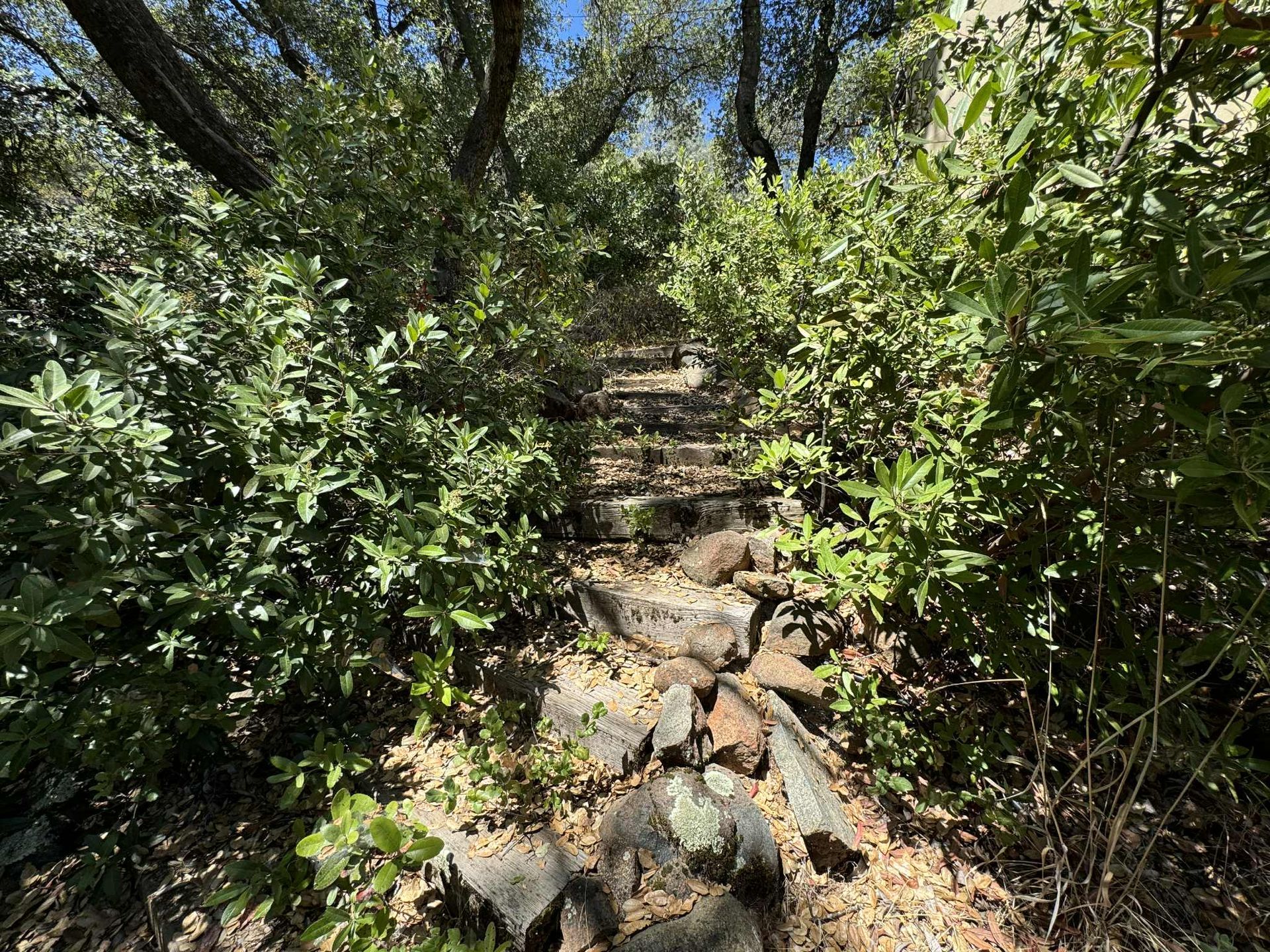 Stone steps ascend a path flanked by dense green bushes and trees, bathed in sunlight.