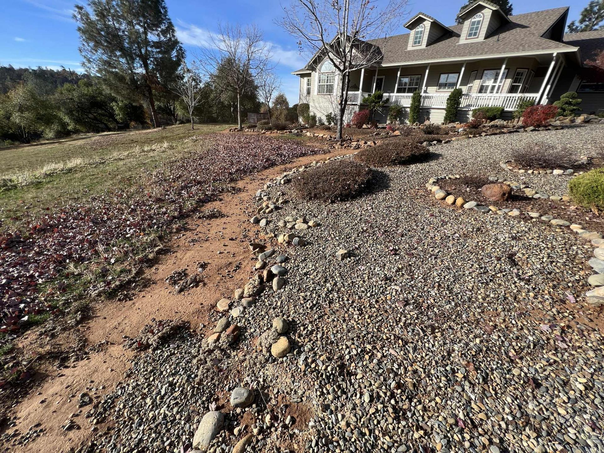 Gravel path and beds in front of a house, sloping lawn with reddish and green foliage. Sunny day.
