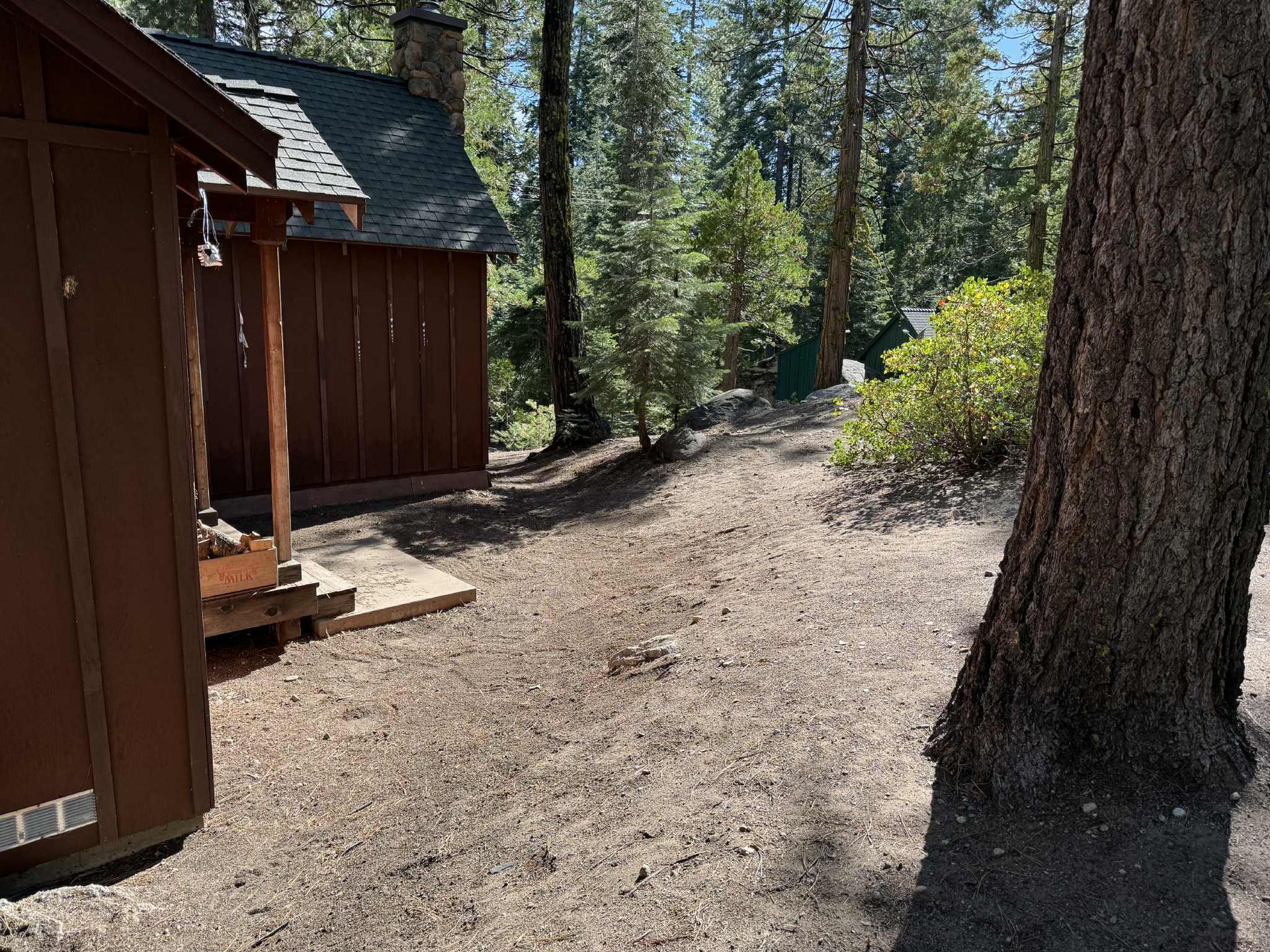 Dirt path leading through a wooded area with two brown cabins and tall trees.