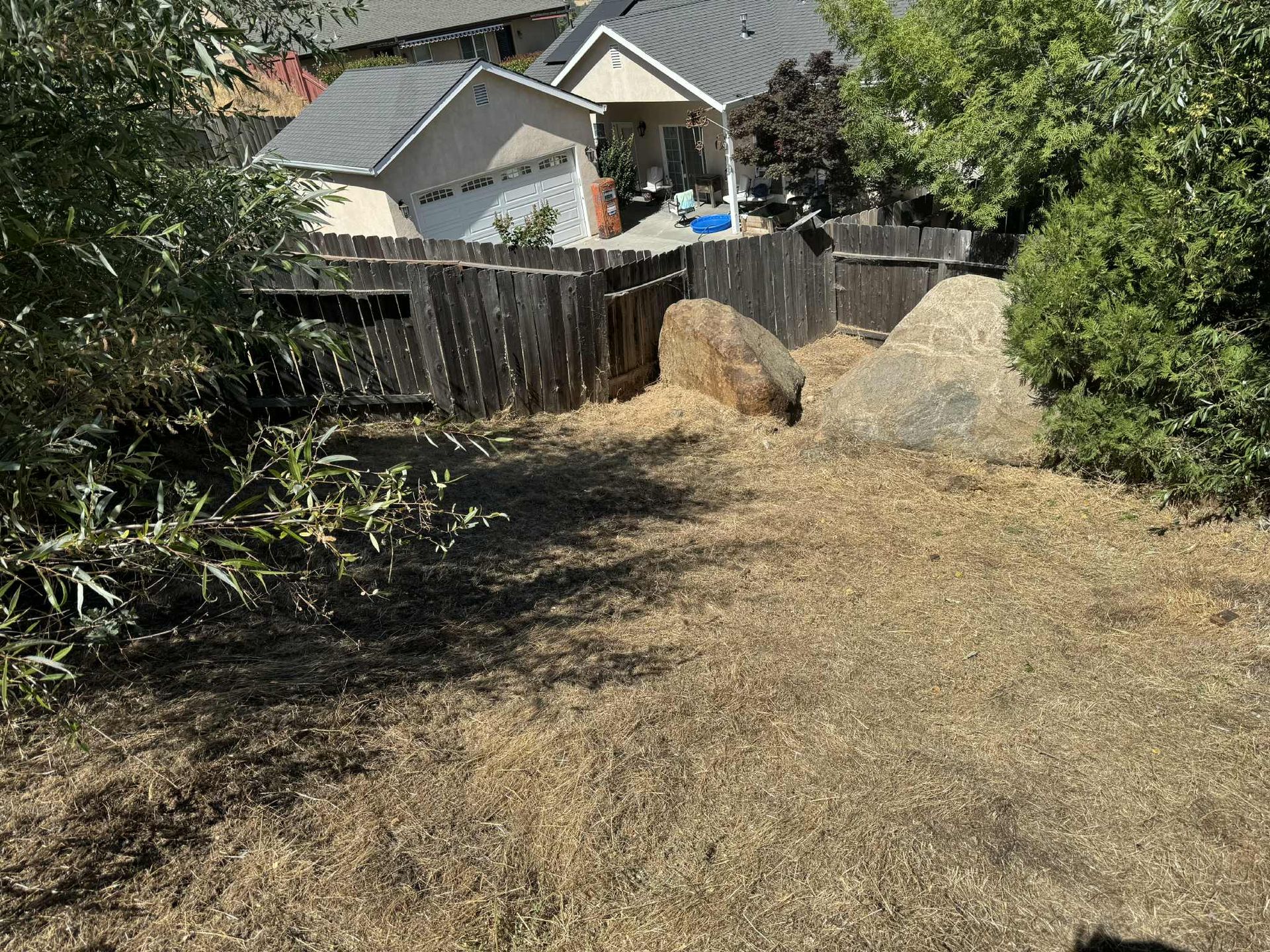 Backyard with weathered wooden fence, dry grass, and rocks. Houses visible in the background.