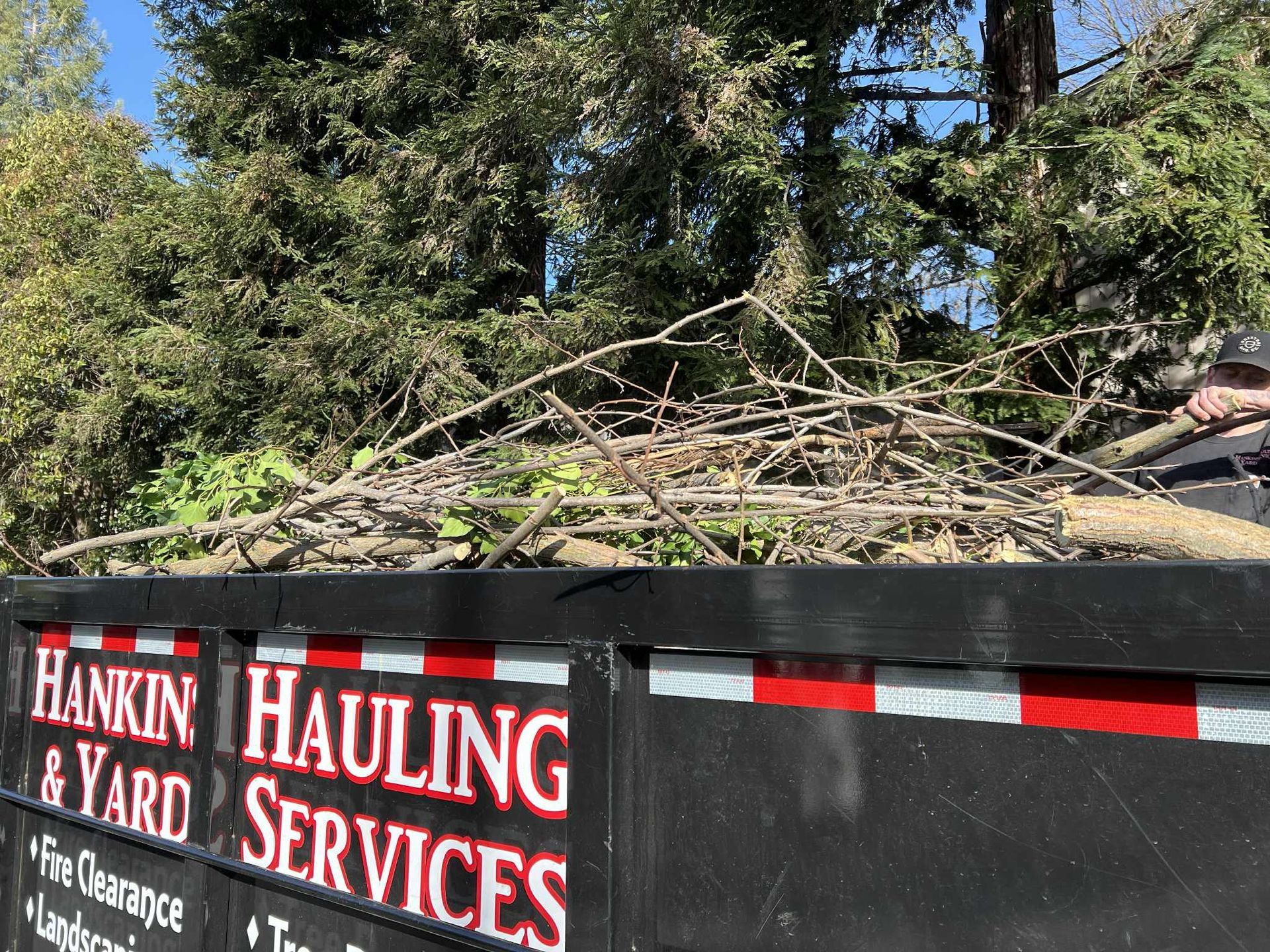 Branches piled in a black dumpster with the Hankin Hauling & Yard Services logo.