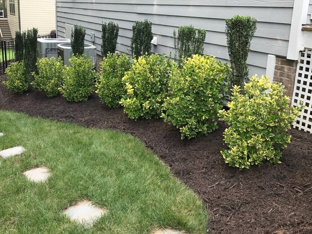 Triangle Mulch and Sod Cary, Apex & Raleigh, NC Sod & Artificial Grass