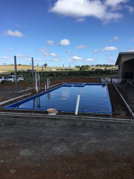 Swimming Pool on a Clear Day — Pool and Landscaping in Dubbo, NSW