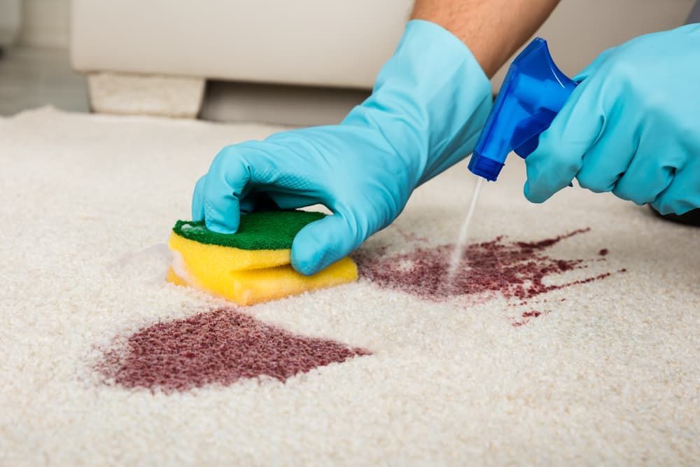A Person is Cleaning a Carpet With a Spray Bottle and a Sponge — First Choice Cleaning Services in Wangaratta, VIC