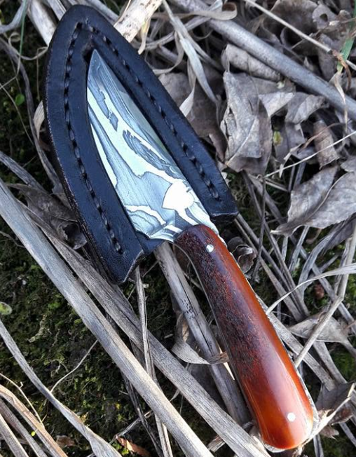 A small knife with a black sheath and glossy wooden handle lying on grass and twigs.