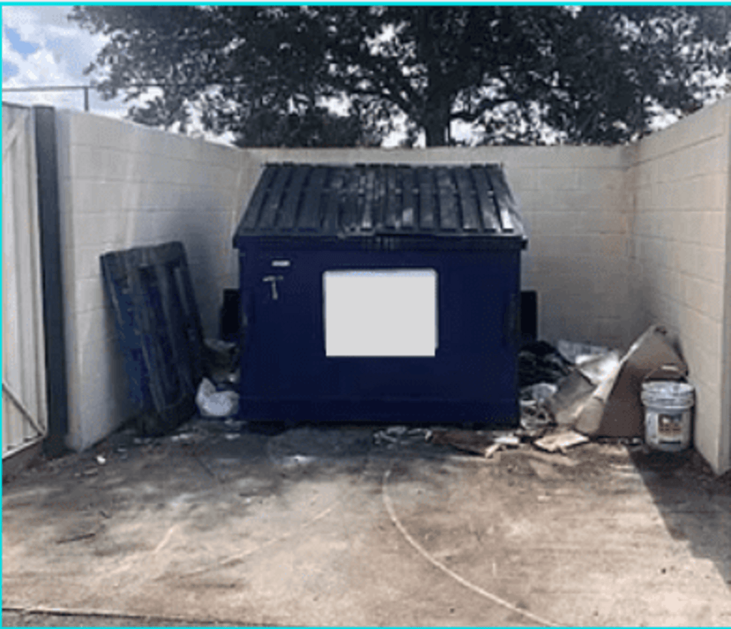 On-Site Cleaning Visit