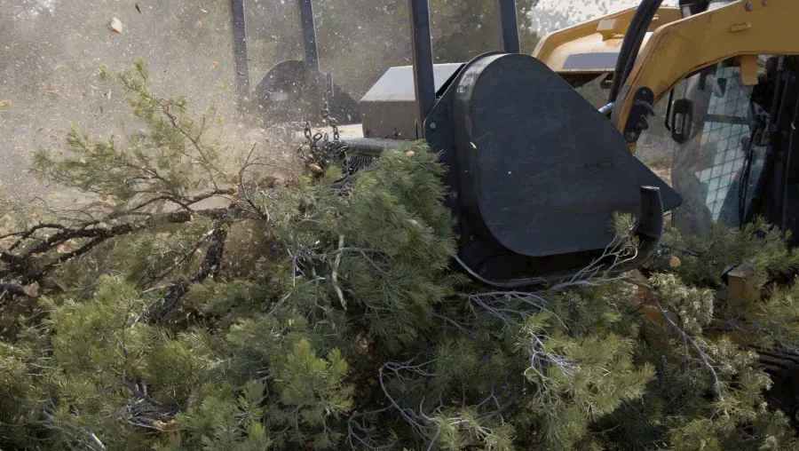 A yellow industrial mulcher shreds green trees and brush, creating a cloud of wood chips and debris.