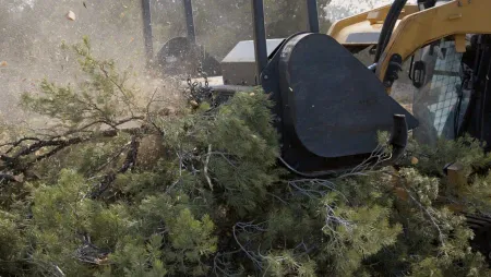 A yellow industrial mulcher shreds green trees and brush, creating a cloud of wood chips and debris.