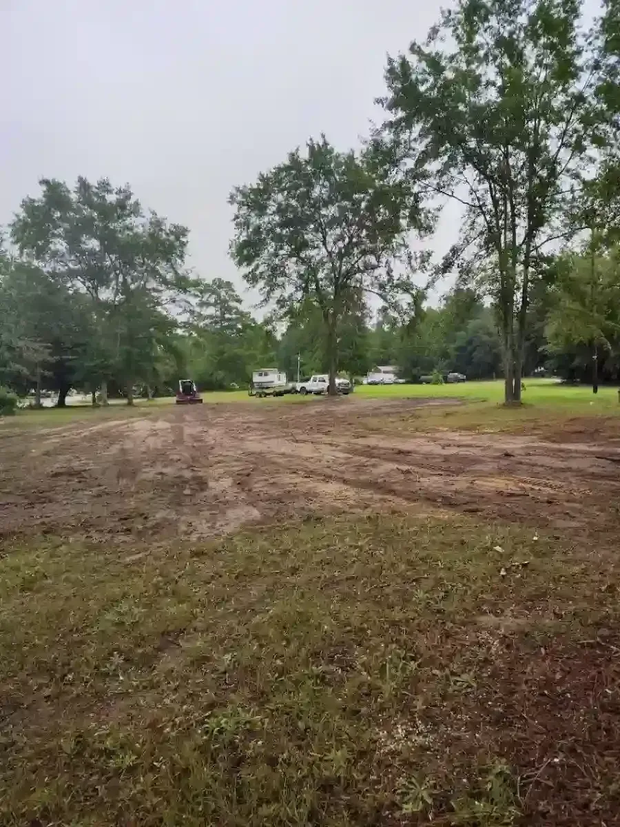 A construction tractor clears a muddy lot between rows of trees on an overcast day.