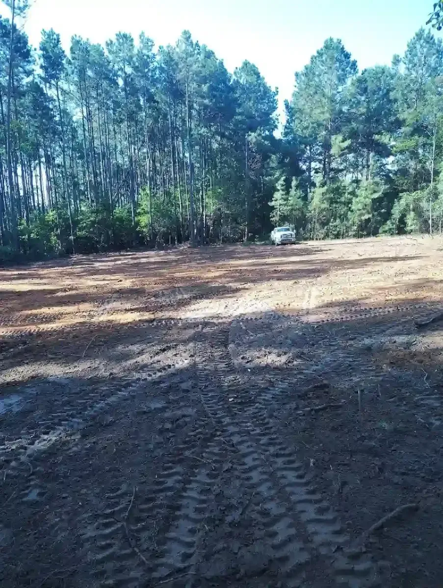 A cleared dirt lot with tire tracks in the foreground, leading toward a dense treeline and a white car in the distance.