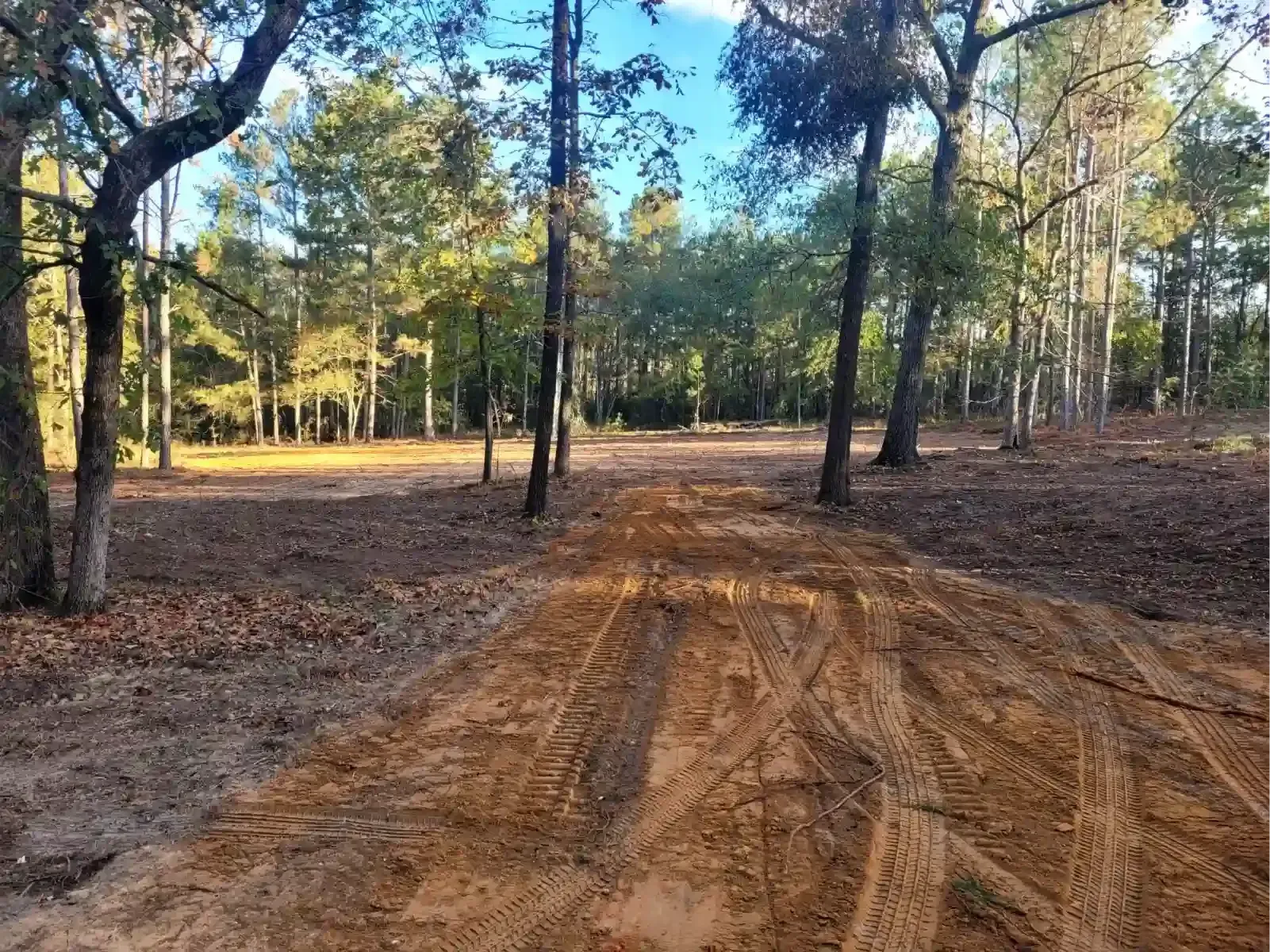 A dirt path with tire tracks leads into a wooded area with trees and sunlight filtering through the canopy.