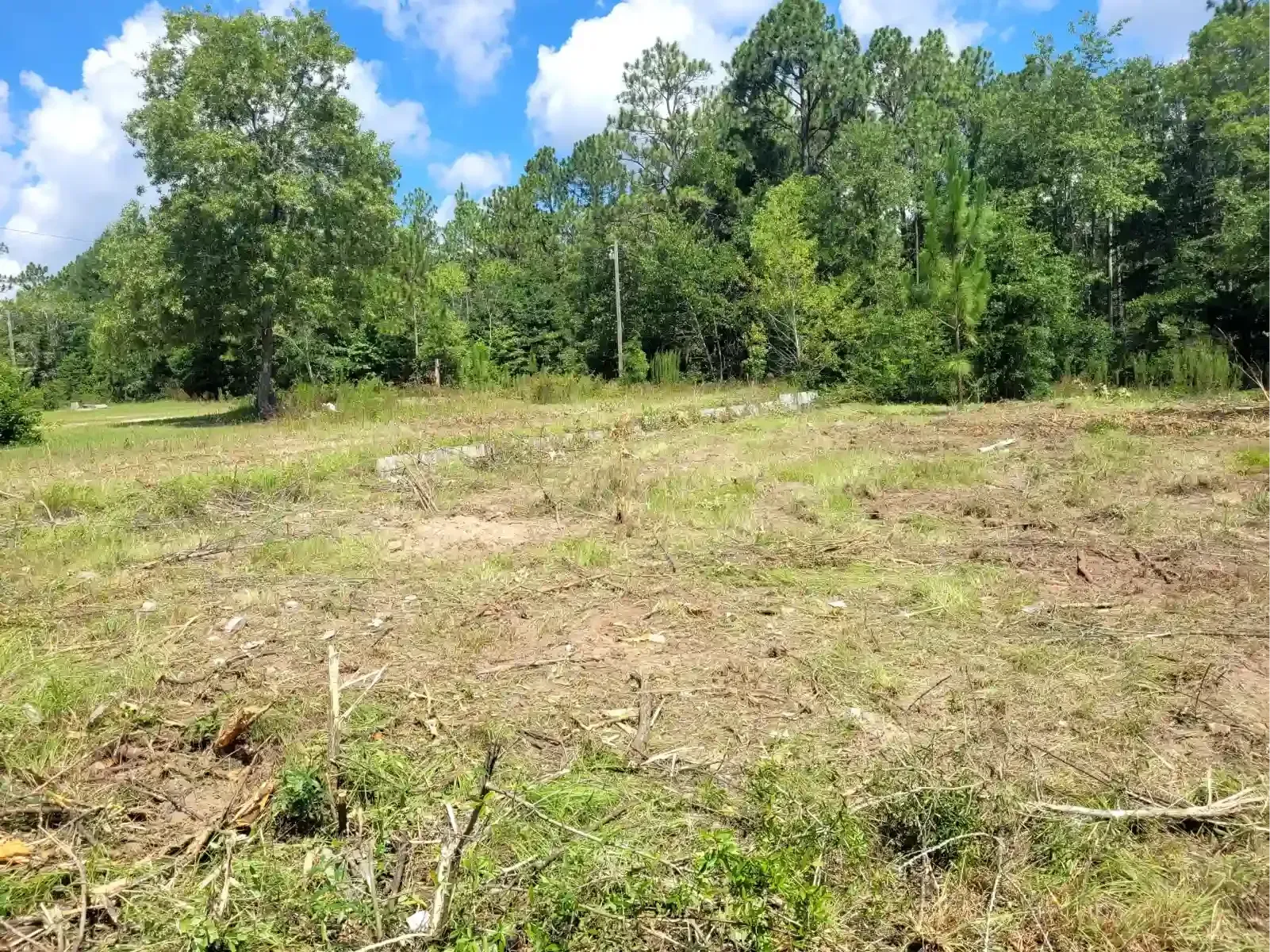 A recently cleared, grassy field sits in the foreground, backed by a dense line of green trees under a bright blue sky.