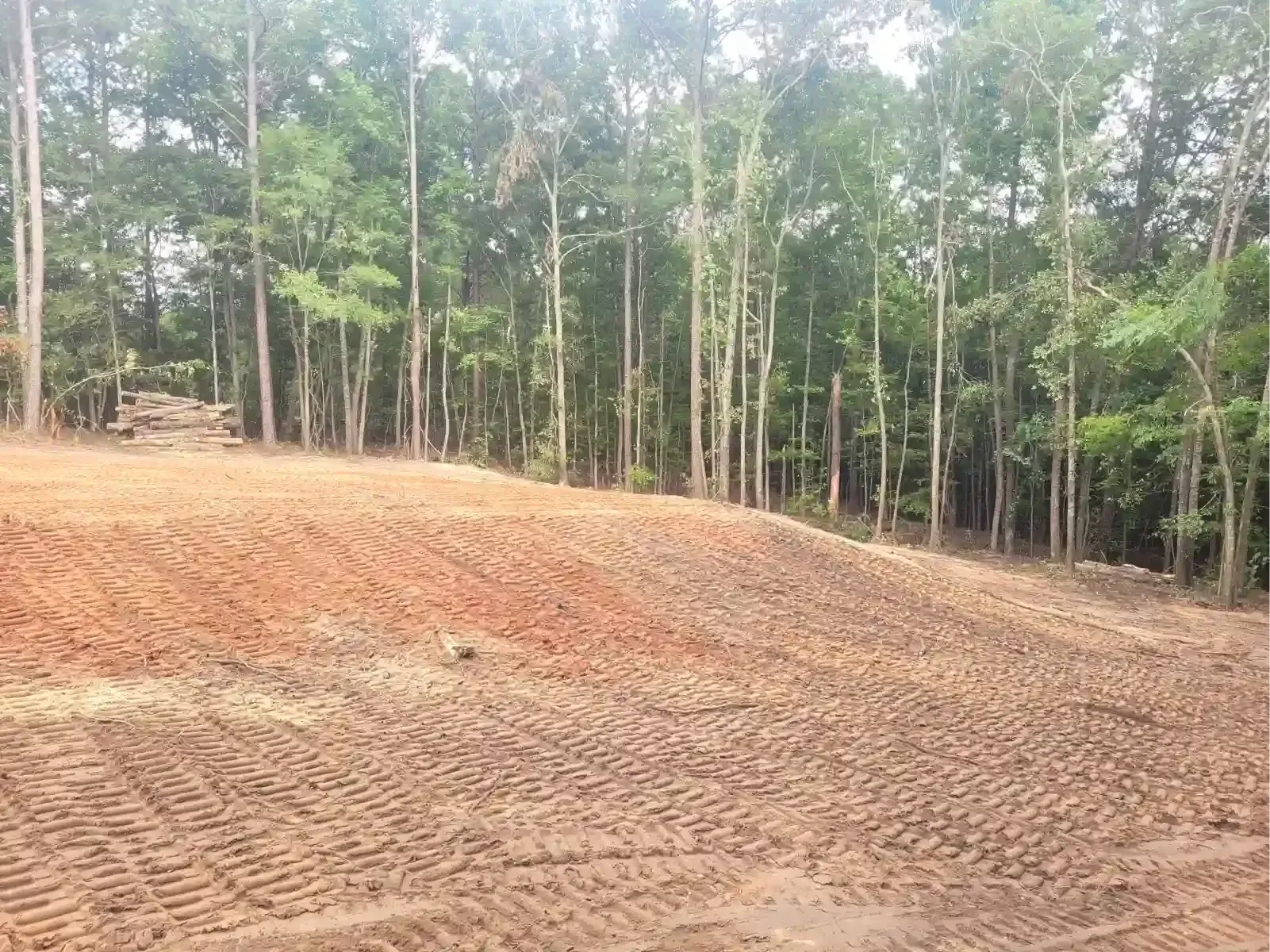 A freshly graded, bare red dirt construction site sloping upward toward a dense forest of tall green trees.