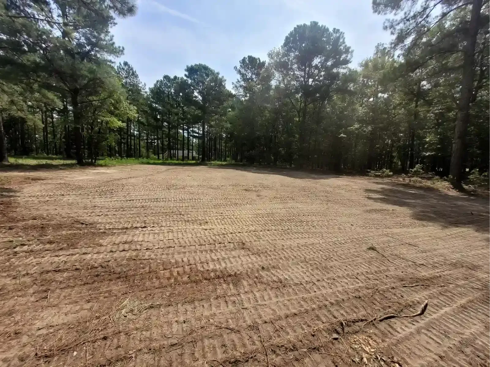 A clearing in a forest with freshly turned, bare brown earth showing tire tracks under a bright blue sky.