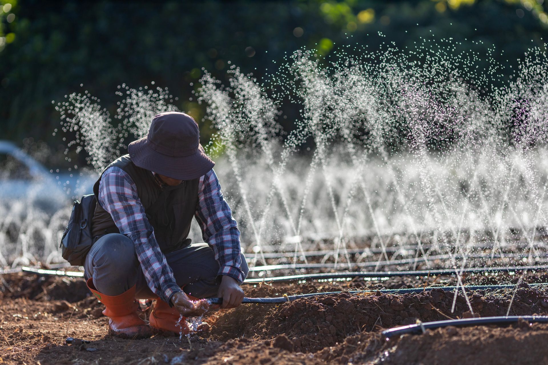 A man is kneeling down in a field while watering plants with a hose.