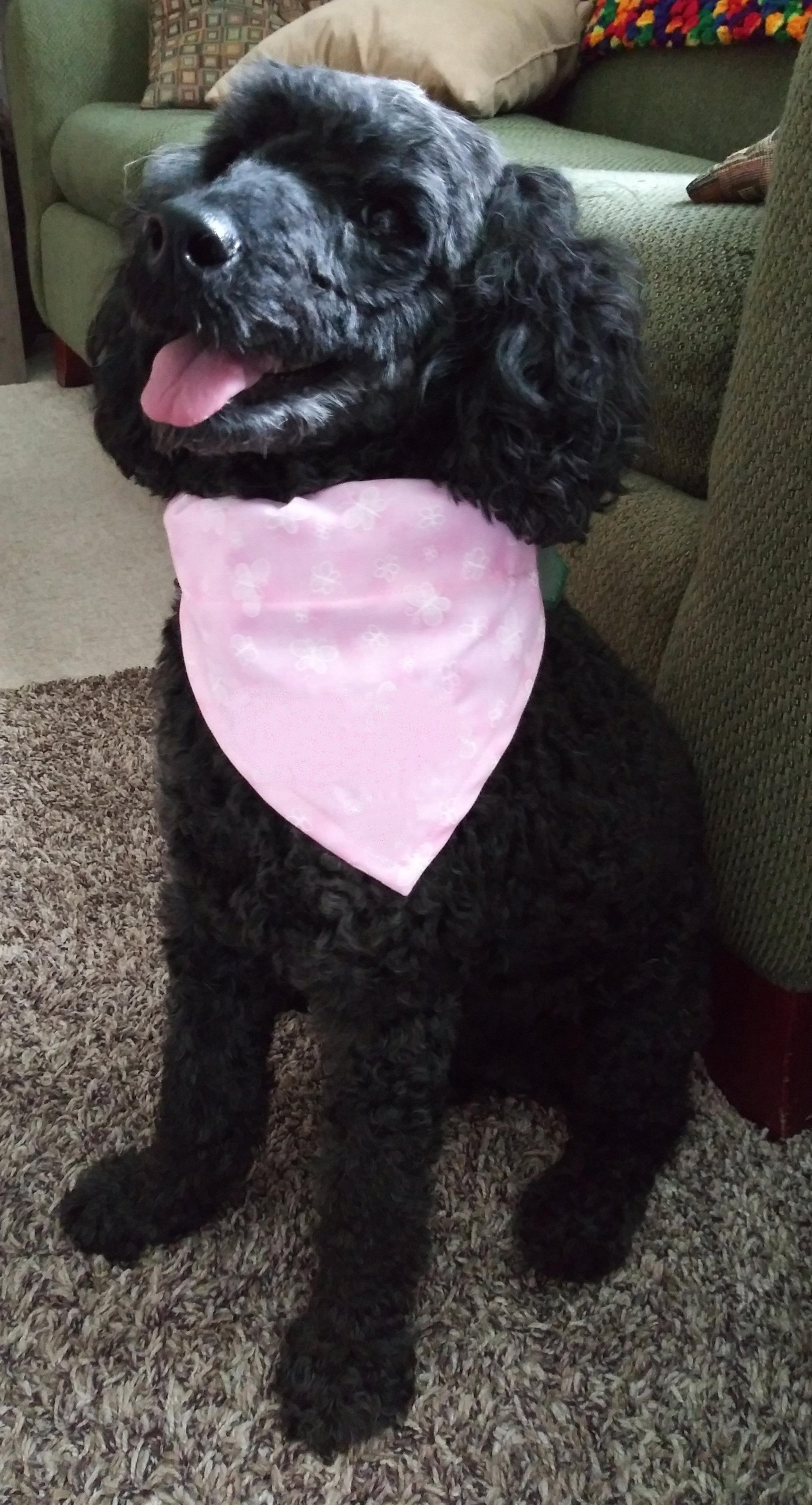 River Country Pet Loss & Cremation Center, LLC. Devoted Friends Pet