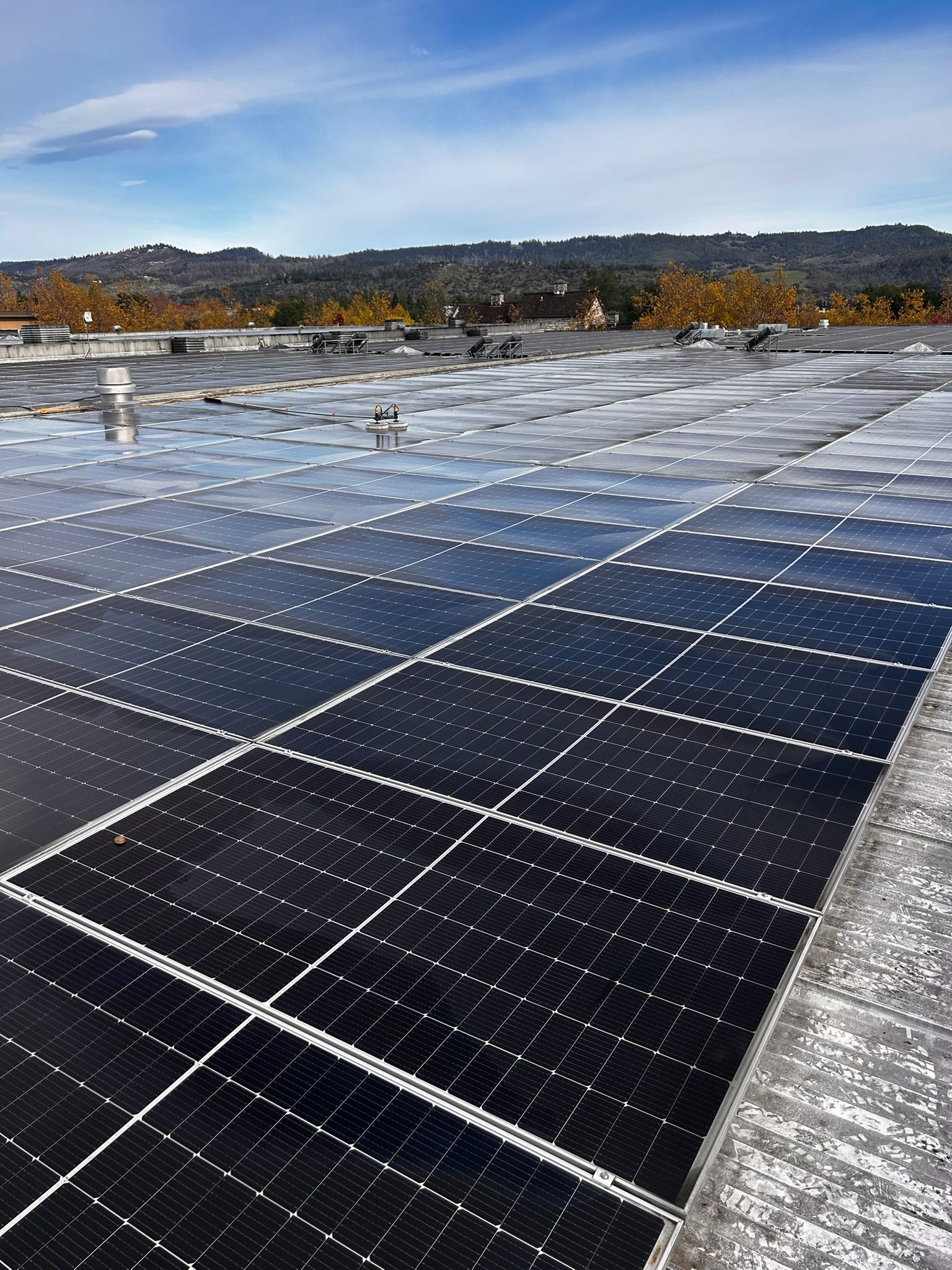 Solar panels on a building rooftop against a blue sky, with a distant treeline.