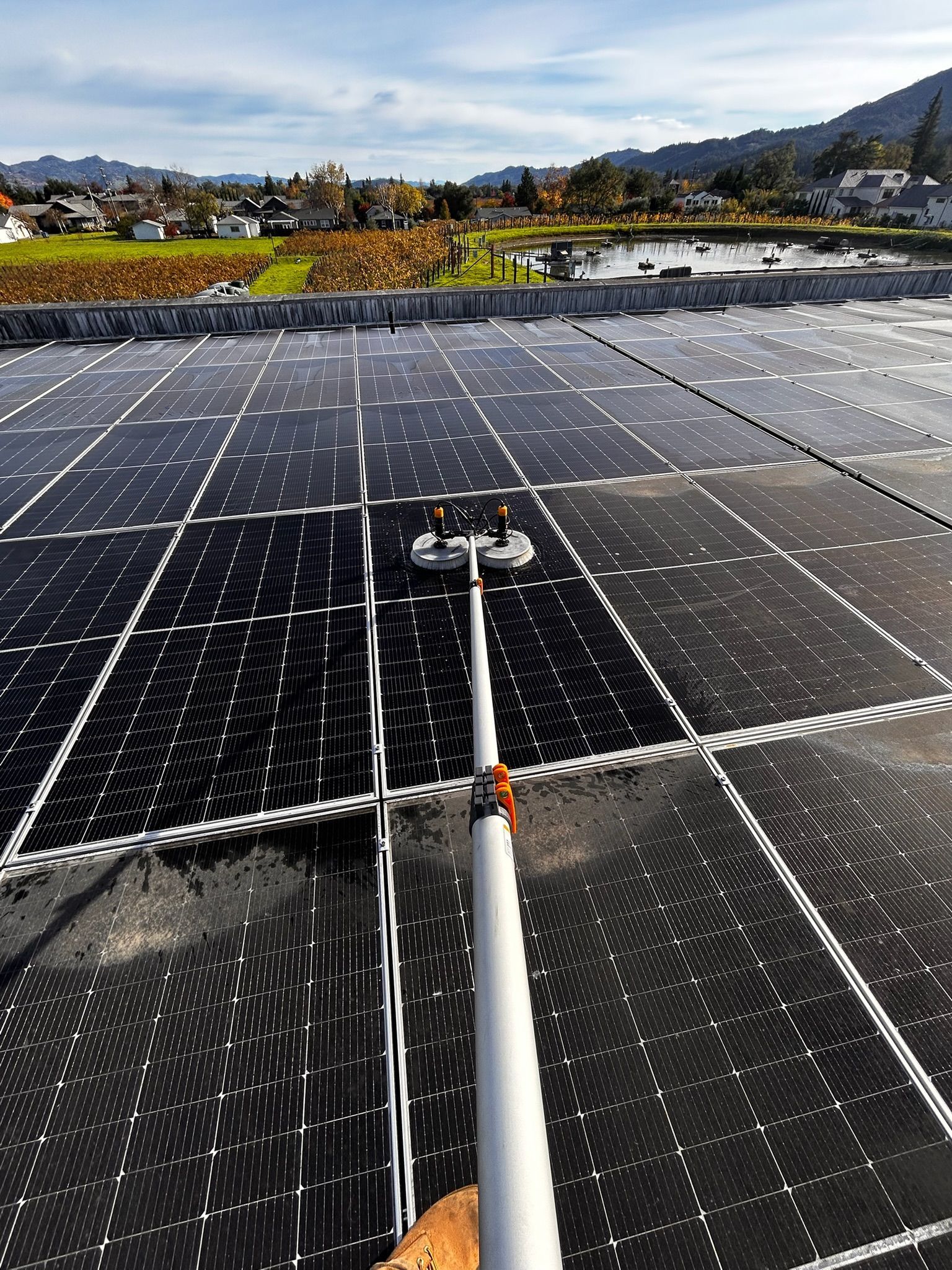 Cleaning solar panels on a rooftop, using a long-handled brush with water; buildings and landscape in the background.