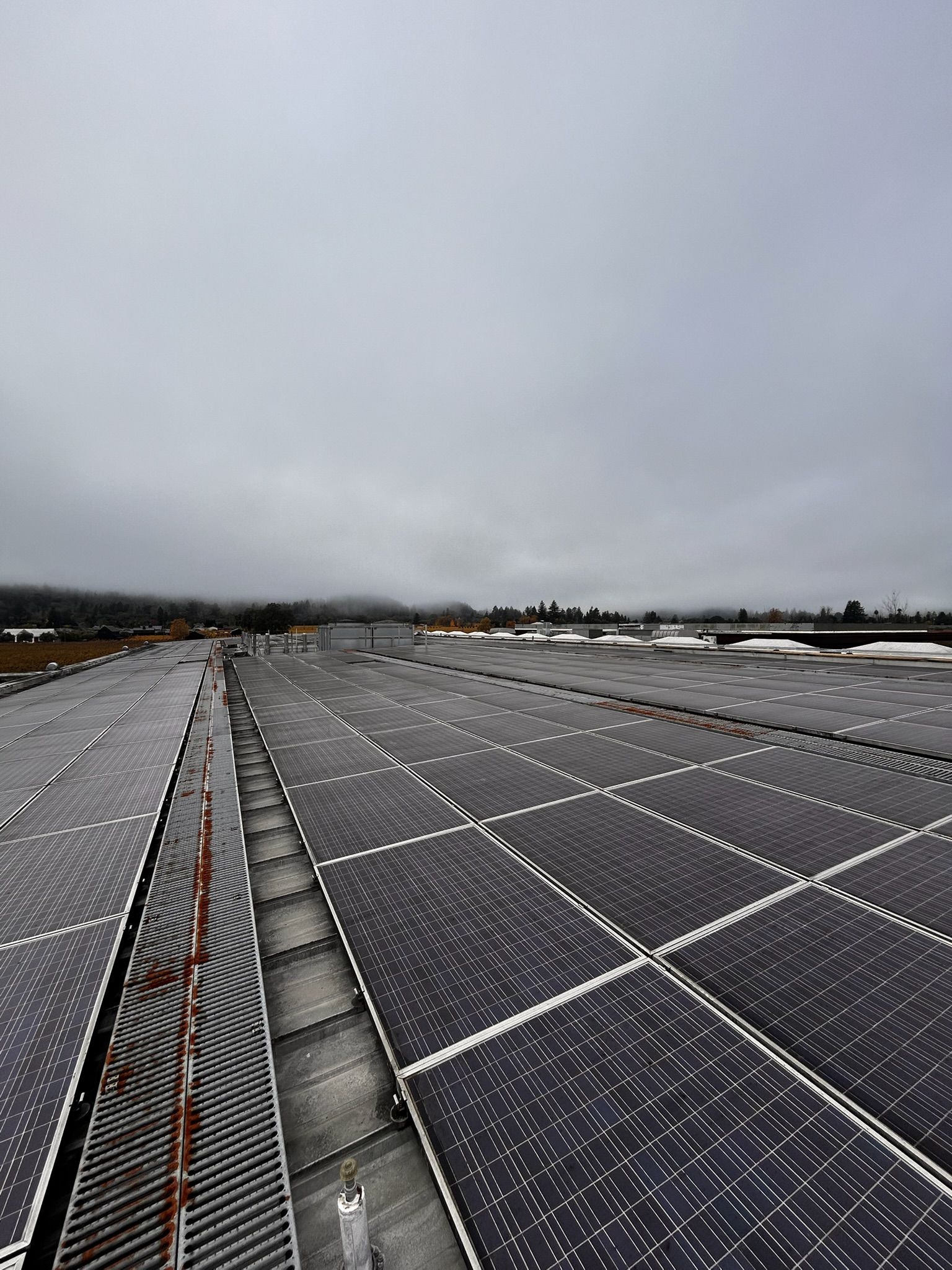 Solar panels on a cloudy day, covering a vast area; mountains in the background.