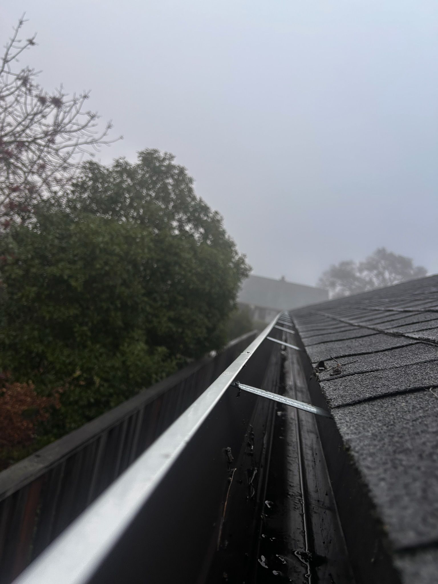Gutters on a roof in a foggy, overcast setting; dark asphalt shingles, trees in background.