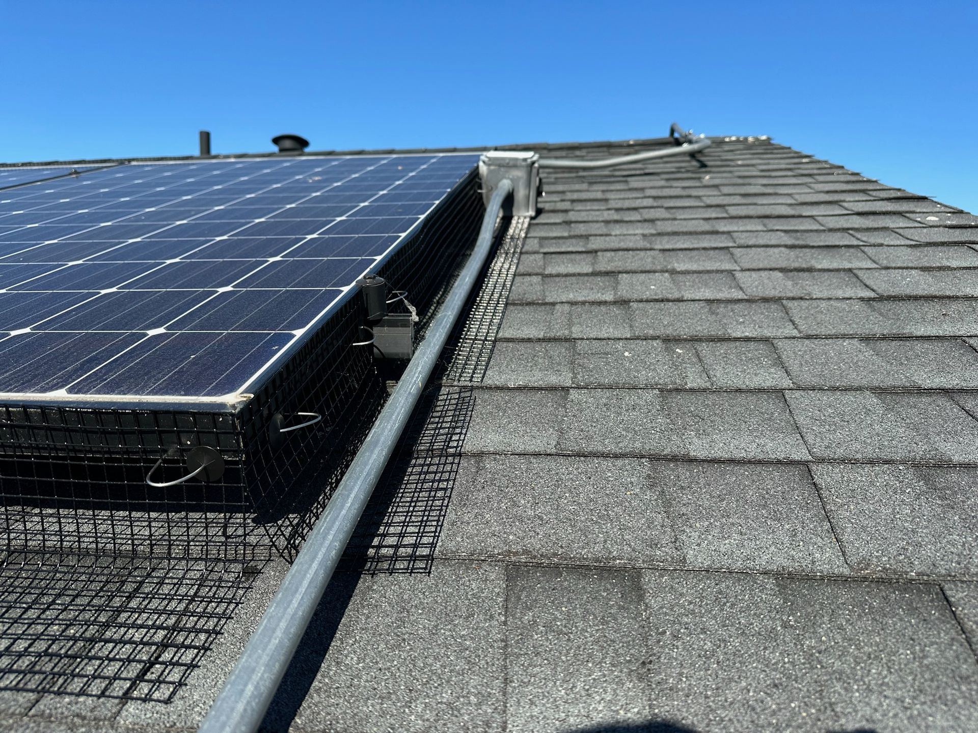 Solar panels on a roof with a protective mesh, the sky is clear and blue.