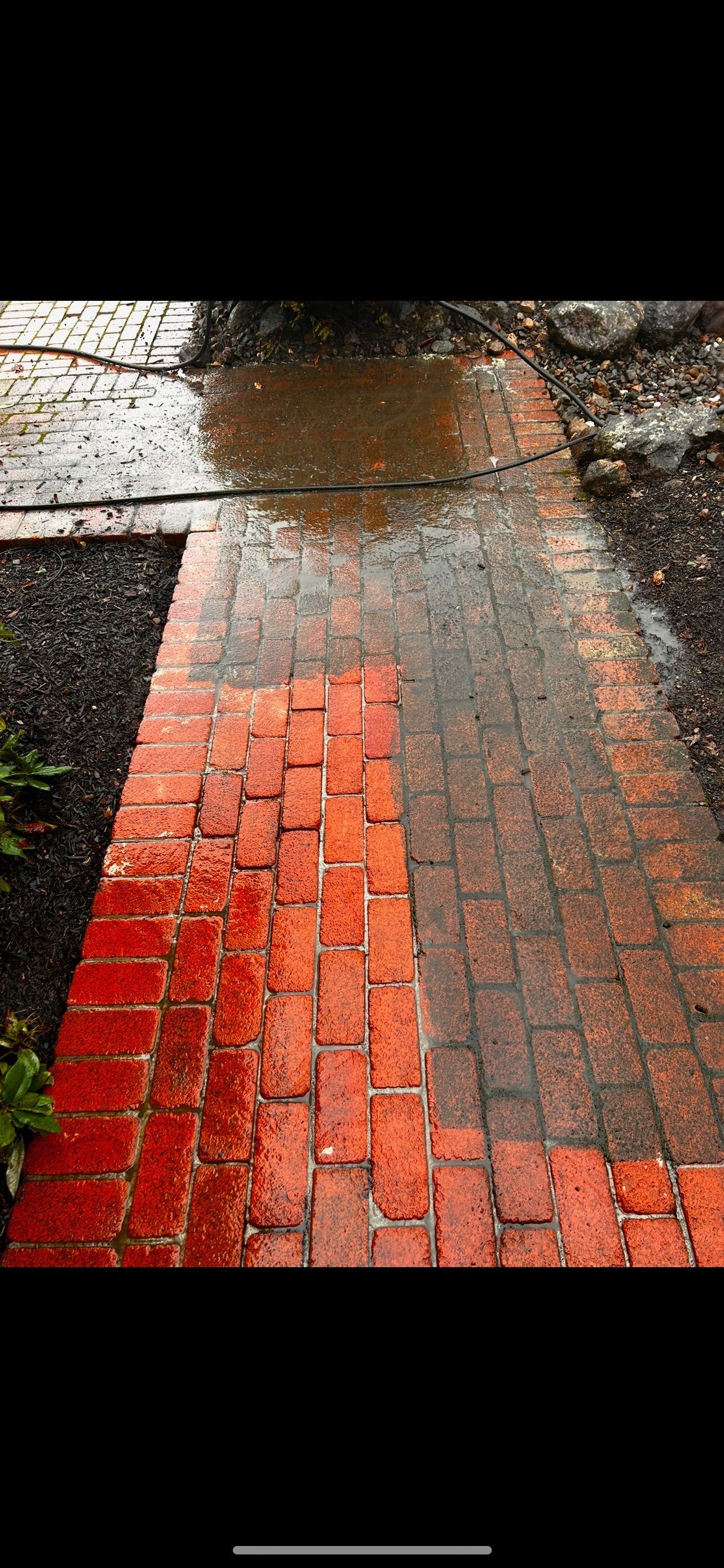 Wet brick walkway with a section that is cleaner than the rest, probably recently cleaned.