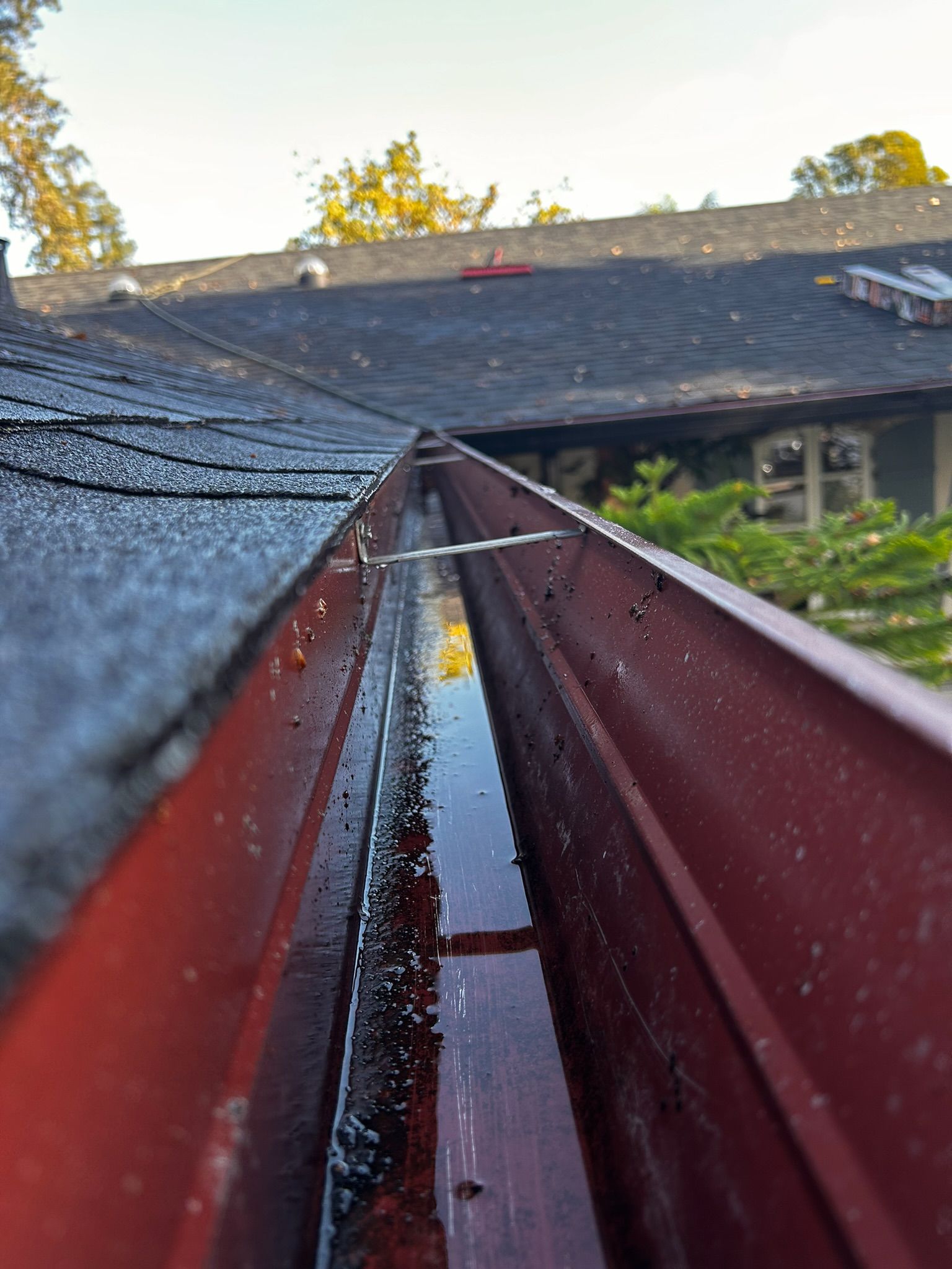 Red gutter filled with water on a dark shingled roof.