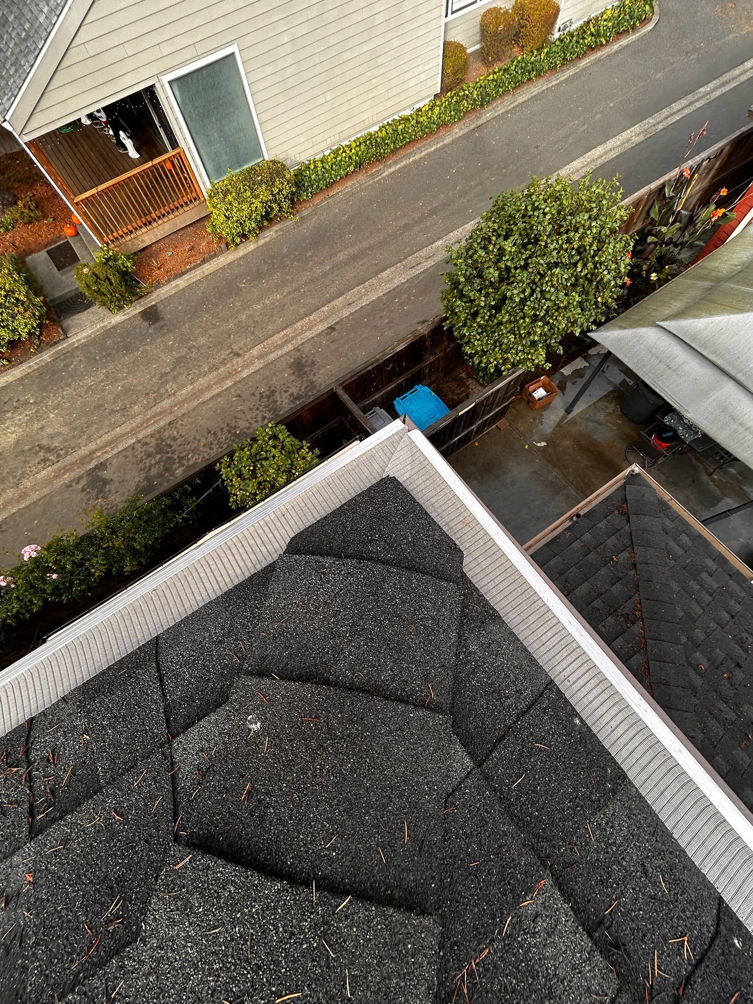 View from a dark shingled roof towards a street and houses, with a gutter and greenery visible.